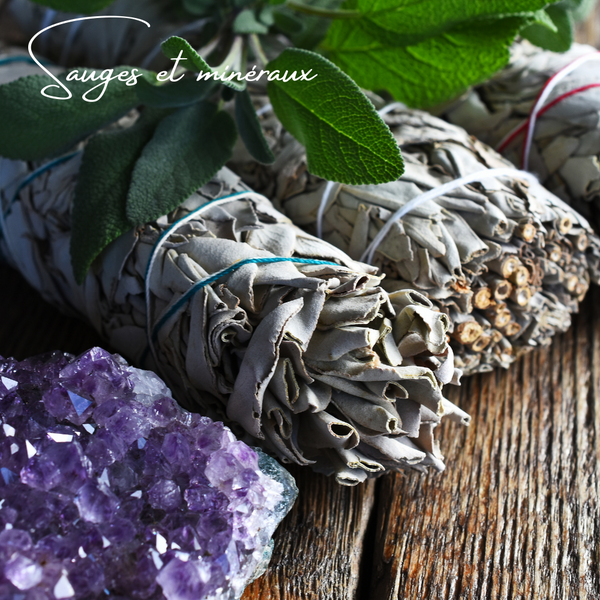 Do you know the virtues of sage?