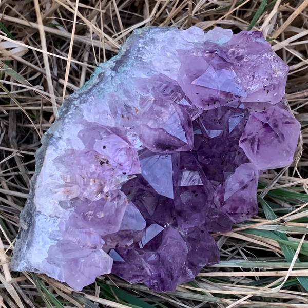 amethystes