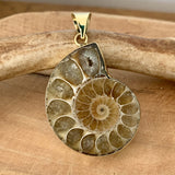 Pendentif d'ammonite naturelle, bijoux en fossile