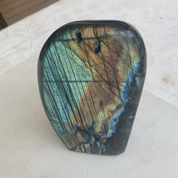 Belle Labradorite véritable polie de forme libre de 1kg317g