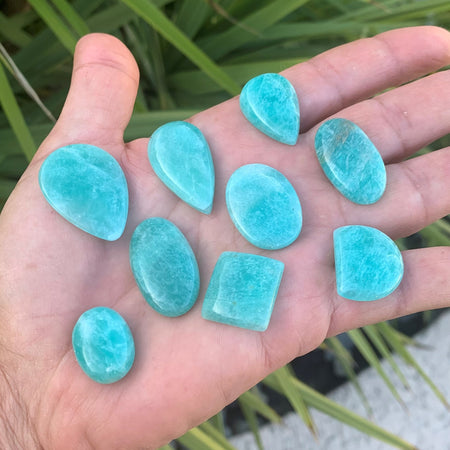 Cabochons en turquoise naturelle