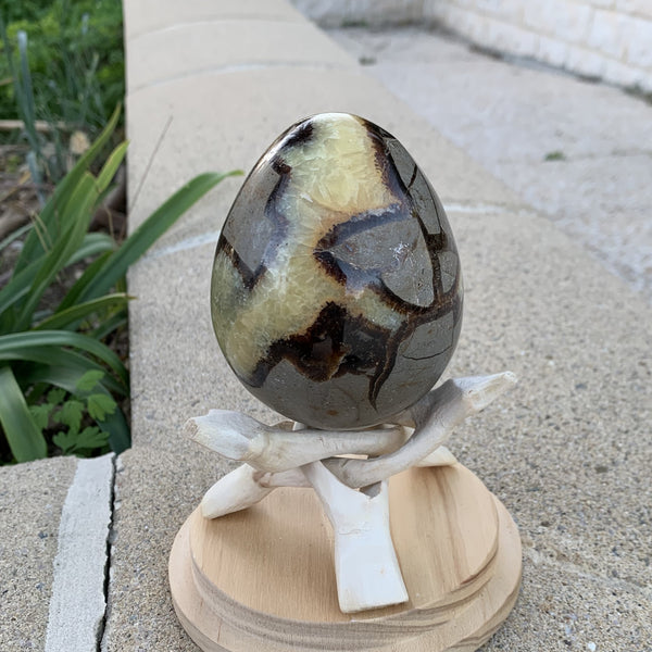 Septarian egg, œuf de septaria et de calcite jaune de 534g