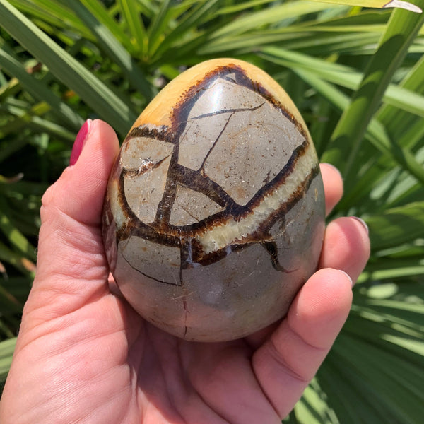 Septaria egg and yellow calcite of 530g