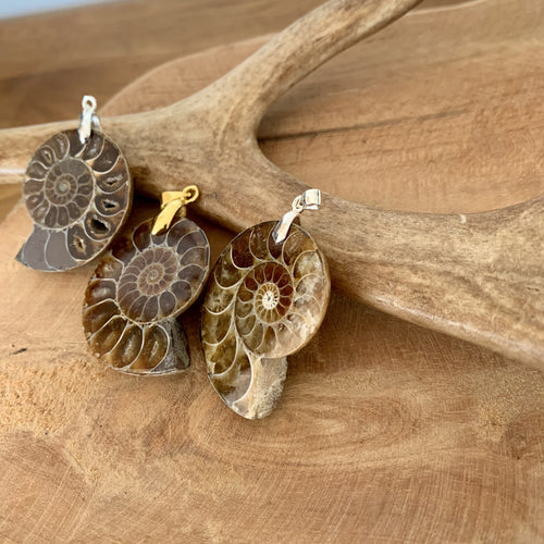 Pendentif fossile d'ammonite, ammonite naturelle, bijoux en fossile, bijoux d'été