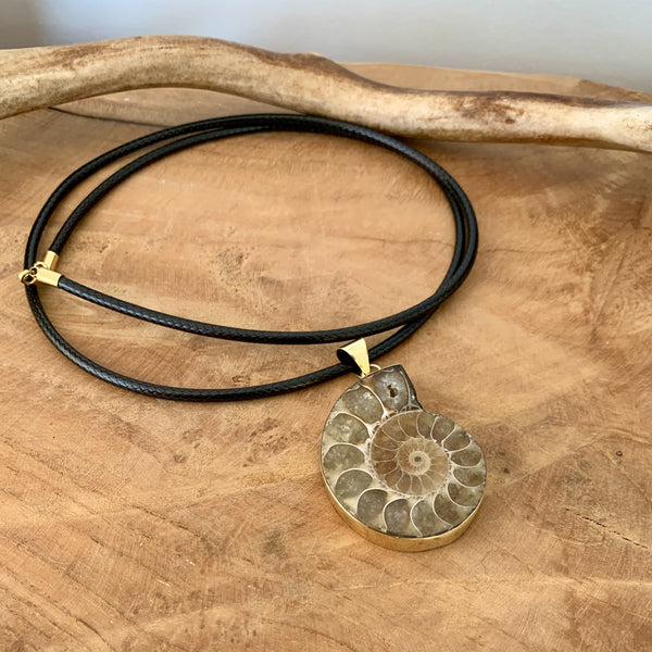 Pendentif d'ammonite naturelle, bijoux en fossile