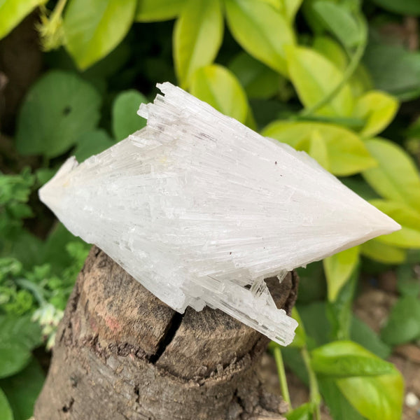 Scolecite, a pure wonder of nature