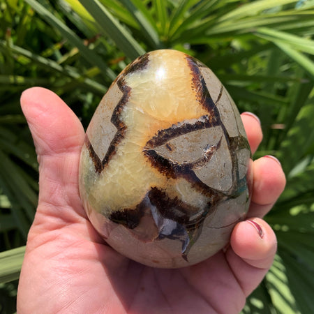 Septarian egg, egg of septaria and yellow calcite of 534g