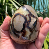 Septarian egg, œuf de septaria et de calcite jaune de 534g