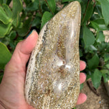 849g landscape orbicular jasper