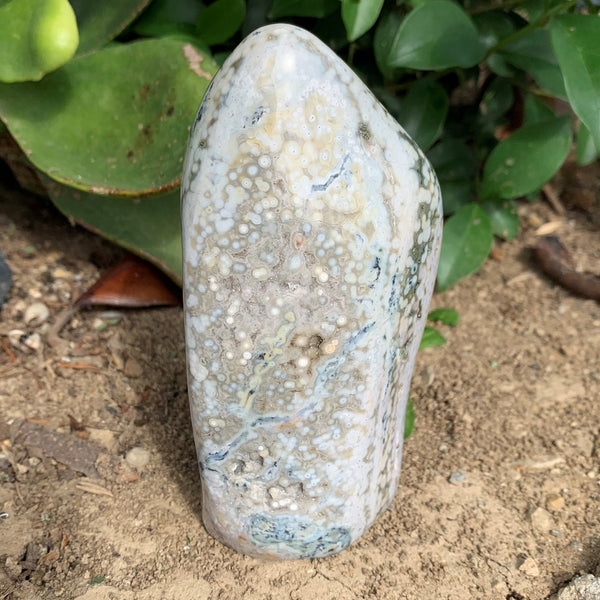 749g Blue Orbicular Ocean Jasper